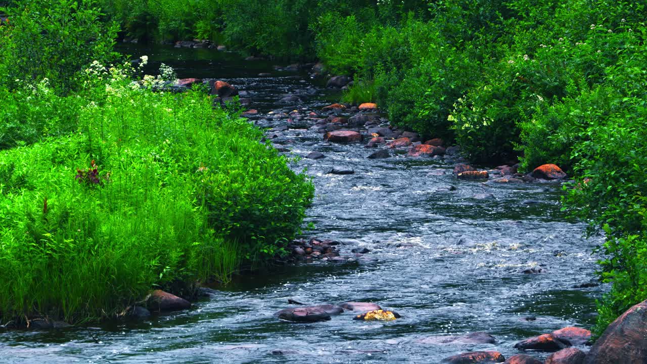 Thick Green Bushes Surround A Raging Creek With Orange Brown Rocks And