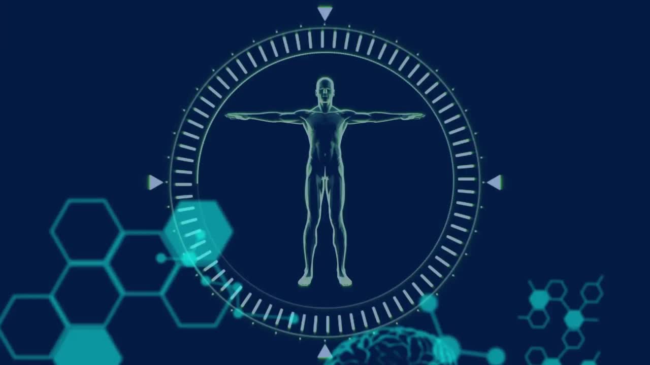 V Deo Premium Animaci N Del Procesamiento De Datos M Dicos Cerebro