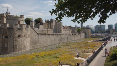 Exterior-Of-The-Tower-Of-London-England-UK-With-Gardens-Planted-For-Superbloom-Event-4