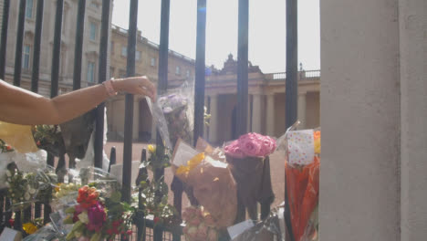 Close-Up-Shot-of-Some-Flowers-Laid-In-Tribute-Outside-Buckingham-Palace-In-London