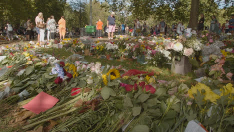 Breite-Aufnahme-Von-Floralen-Tributen-Im-Grünen-Park