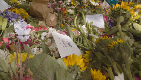 Nahaufnahme-Von-Floralen-Tributen-Im-Grünen-Park-Von-London