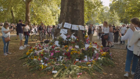 Weite-Aufnahme-Von-Blumentributen-Und-Trauernden-Im-Grünen-Park