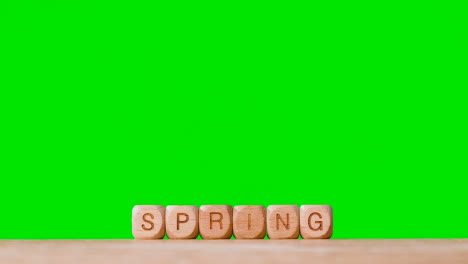 Konzept-Mit-Holzbuchstabenwürfeln-Oder-Würfeln,-Die-Frühling-Gegen-Grünen-Bildschirm-Buchstabieren