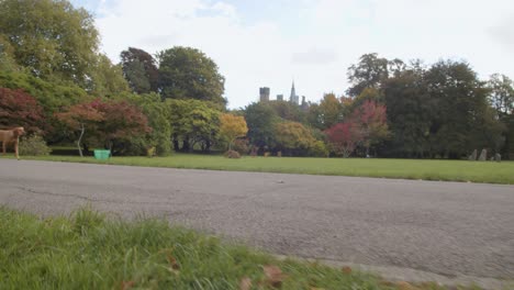 Herbstansicht-Des-Bute-Parks-In-Cardiff-Wales-Mit-Person,-Die-Hund-Trainiert