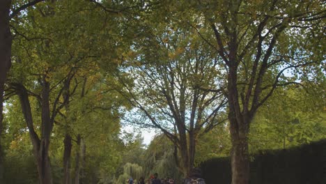 Menschen,-Die-Im-Herbst-Durch-Den-Bute-Park-In-Cardiff-Wales-Gehen