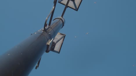 Low-Angle-View-Of-Street-Light-Against-Blue-Sky