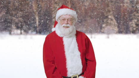 Santa-Claus-Smiling-and-Laughing-In-Front-of-a-Winter-Woods