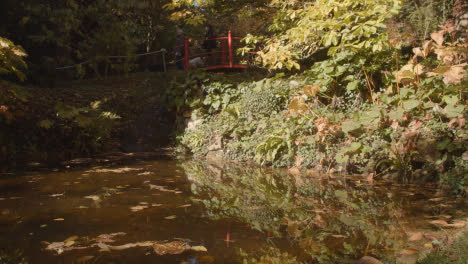 Brücke-über-Den-Teich-Mit-Bunten-Herbstblättern-Im-Arboretum