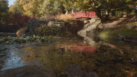 Brücke-über-Teich-Mit-Buntem-Herbstlaub-Im-Arboretum-1