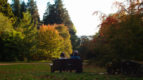 Close-Up-Of-People-With-Dogs-Walking-Across-Bridge-In-Arboretum