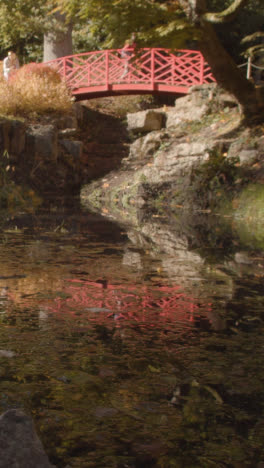 Video-Vertical-Del-Puente-Sobre-El-Estanque-Con-Coloridas-Hojas-De-Otoño-En-El-Arboreto-1