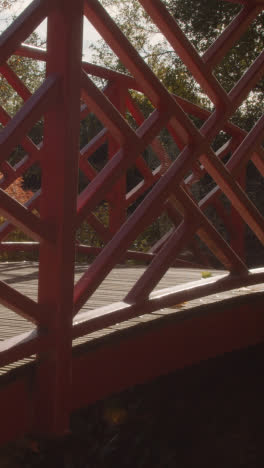 Vertical-Video-Close-Up-Of-People-With-Dogs-Walking-Across-Bridge-In-Arboretum