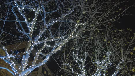Nahaufnahme-Von-Bäumen,-Die-Nachts-Am-Südufer-In-London-Mit-Lichtern-Geschmückt-Sind