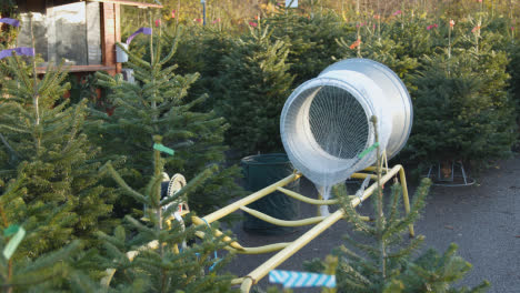 Machine-For-Netting-Christmas-Trees-Outdoors-At-Garden-Centre