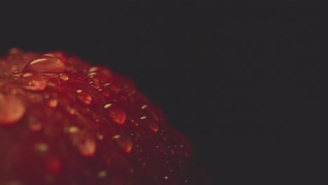 Macro-Studio-Shot-Of-Red-Apple-With-Water-Droplets-Revolving-Against-Black-Background