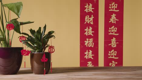 Dekorationen,-Die-Das-Chinesische-Neujahr-Feiern,-Hingen-Von-Pflanzen-Zu-Hause-Mit-Banner-Im-Hintergrund