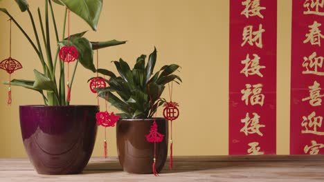 Decorations-Celebrating-Chinese-New-Year-Hung-From-Plants-At-Home-With-Banner-In-Background-1