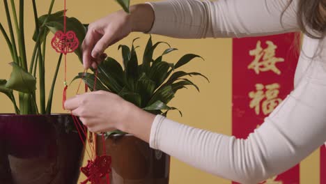 Frau-Hängt-Dekorationen,-Die-Das-Chinesische-Neujahr-Feiern,-An-Pflanzen-Zu-Hause-Mit-Banner-Im-Hintergrund