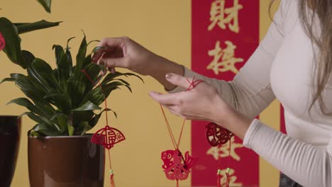 Frau-Hängt-Dekorationen,-Die-Das-Chinesische-Neujahr-Feiern,-An-Pflanzen-Zu-Hause-Mit-Banner-Im-Hintergrund-1