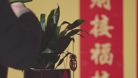 Frau-Hängt-Dekorationen,-Die-Das-Chinesische-Neujahr-Feiern,-An-Pflanzen-Zu-Hause-Mit-Banner-Im-Hintergrund-2