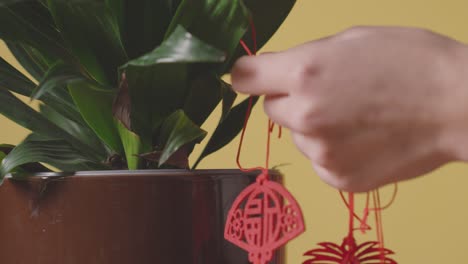 Nahaufnahme-Einer-Frau,-Die-Zu-Hause-Dekorationen-An-Pflanzen-Hängt,-Die-Das-Chinesische-Neujahr-Feiern