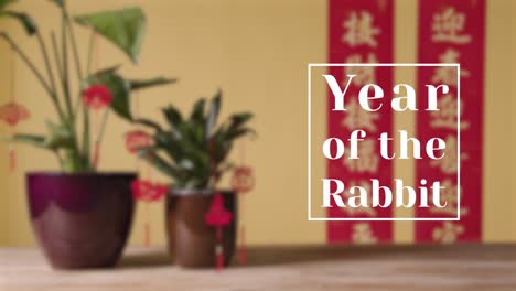 Jahr-Der-Kaninchengrafik,-Die-Das-Chinesische-Neujahr-Mit-Geschmückten-Pflanzen-Und-Banner-Im-Hintergrund-Feiert