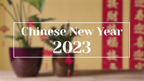 Gráfico-Del-Año-Nuevo-Chino-2023-Con-Plantas-Decoradas-Y-Pancarta-En-Segundo-Plano
