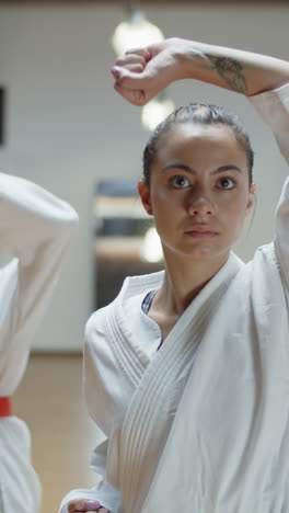 Vertical-shot-of-martial-artists-practicing-defensive-poses