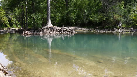 Dies-Ist-Ein-Video-Des-Flusses-Guadalupe-Direkt-Unter-Dem-Damm-Am-Canyon-Lake