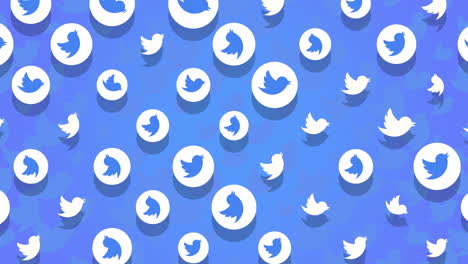 Social-Twitter-Icons-Muster-Auf-Netzwerkhintergrund