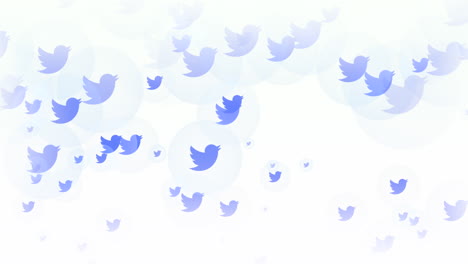 Social-Twitter-icons-pattern-on-network-background