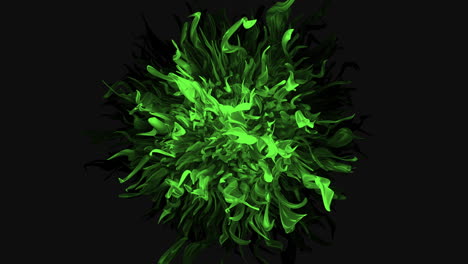 A-Green-Flower-With-Black-Background