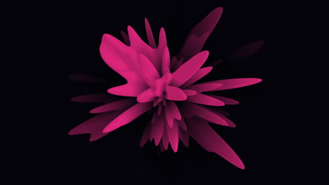 Pink-flower-blooming-in-the-dark
