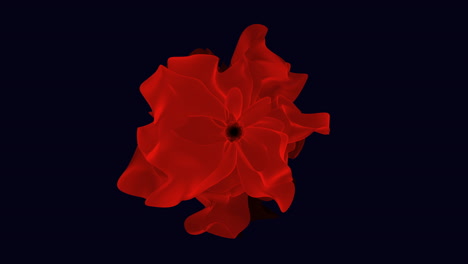 Flor-Roja-Vibrante-Florece-Sobre-Un-Fondo-Oscuro