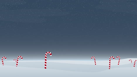 Festliches-Feld-Mit-Schneebedeckten-Zuckerstangen-Unter-Sternenklarem-Nachthimmel