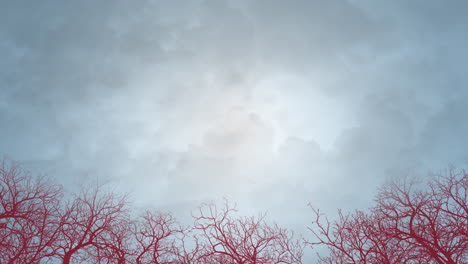 Dark-storm-clouds-hang-over-lifeless-trees-in-eerie-sky