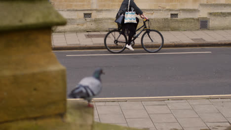 Nahaufnahme-Eines-Radfahrers,-Der-Mit-Dem-Fahrrad-Entlang-Der-Straße-Im-Stadtzentrum-Von-Oxford-Fährt,-Mit-Einer-Taube-Im-Vordergrund