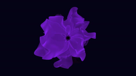 La-Vibrante-Flor-Violeta-Se-Destaca-Sobre-Un-Fondo-Oscuro-En-Un-Impresionante-Primer-Plano