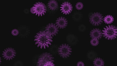 Dynamic-purple-spark-explosions-on-black-background