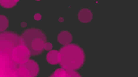 Vibrant-cluster-of-pink-and-purple-stars-on-a-black-background