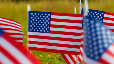 Close-Up-Of-Group-Of-Small-American-Stars-And-Stripes-Flags-Outdoors-In-Countryside-Field-Or-Garden-Moving-In-Wind-3