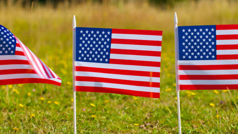 Close-Up-Of-Line-Of-Small-American-Stars-And-Stripes-Flags-Outdoors-In-Countryside-Field-Or-Garden-Moving-In-Wind-2