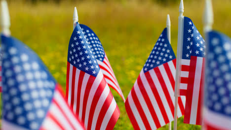 Close-Up-Of-Group-Of-Small-American-Stars-And-Stripes-Flags-Outdoors-In-Countryside-Field-Or-Garden-Moving-In-Wind-1