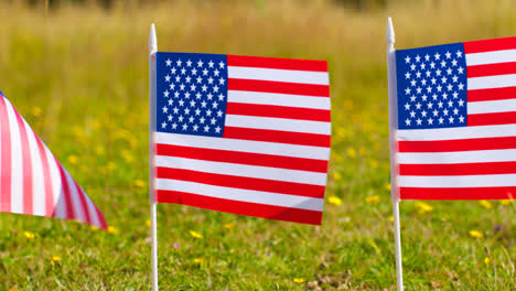 Close-Up-Of-Line-Of-Small-American-Stars-And-Stripes-Flags-Outdoors-In-Countryside-Field-Or-Garden-Moving-In-Wind-3