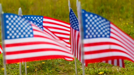 Close-Up-Of-Group-Of-Small-American-Stars-And-Stripes-Flags-Outdoors-In-Countryside-Field-Or-Garden-Moving-In-Wind-6