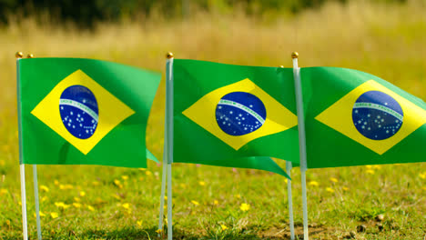 Close-Up-Of-Group-Of-Small-Brazilian-National-Flags-Outdoors-In-Countryside-Field-Or-Garden-Moving-In-Wind-1