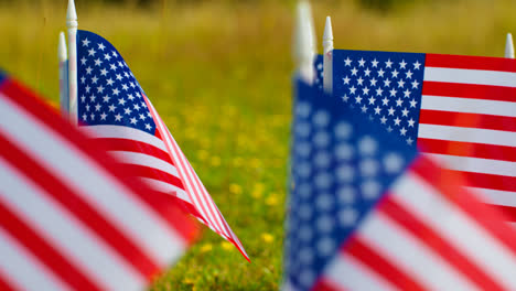 Close-Up-Of-Group-Of-Small-American-Stars-And-Stripes-Flags-Outdoors-In-Countryside-Field-Or-Garden-Moving-In-Wind-2