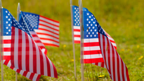 Close-Up-Of-Group-Of-Small-American-Stars-And-Stripes-Flags-Outdoors-In-Countryside-Field-Or-Garden-Moving-In-Wind-5