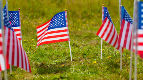 Close-Up-Of-Group-Of-Small-American-Stars-And-Stripes-Flags-Outdoors-In-Countryside-Field-Or-Garden-Moving-In-Wind-5